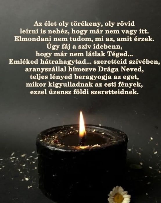 82c1940f53b4bcf91841d1119fc18de5_0_700_0