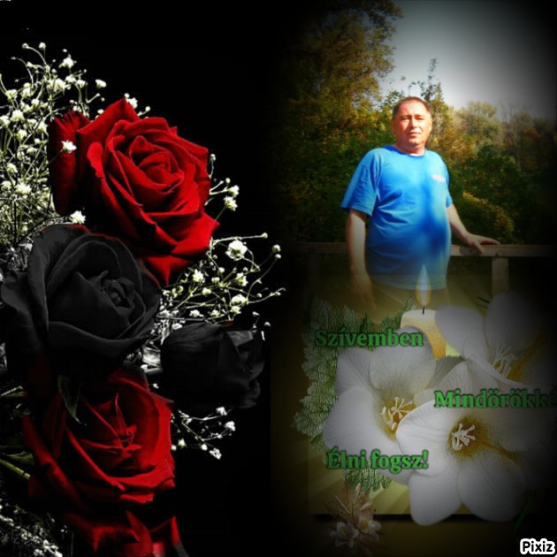 MINDÖRÖKKÉ FÉRJEM