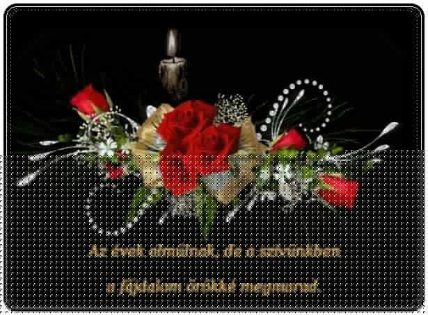 10458325_510358065731278_5528052841445039136_n