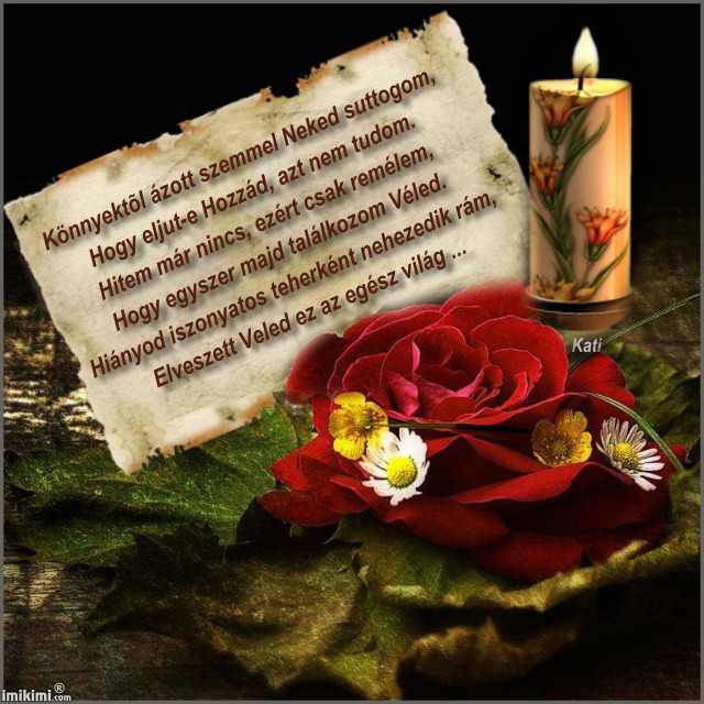 1iYFz-3rj-2.jpg height=640&password=pmeDPNRNCj&scale=max&width=640