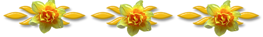 0_12-sorv-sárga-virág9