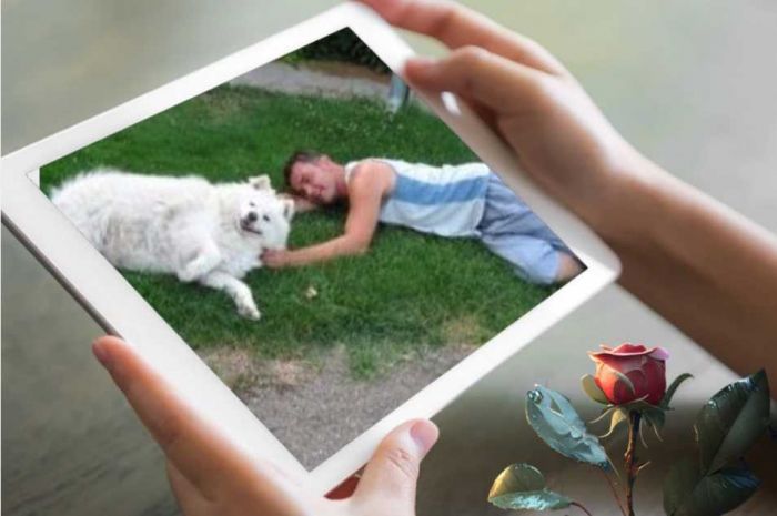 Messenger_creation_b52abfb6-871d-498e-ac97-e47bf6d0e5a3