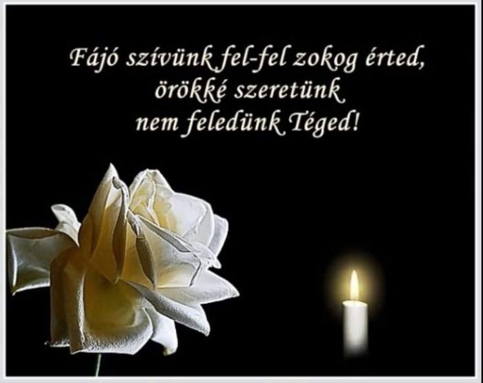 dcbd69db86b427fd902794d99b8905a6