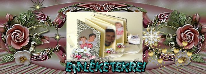 26804535e36d4331aa630e6f34b25d1a