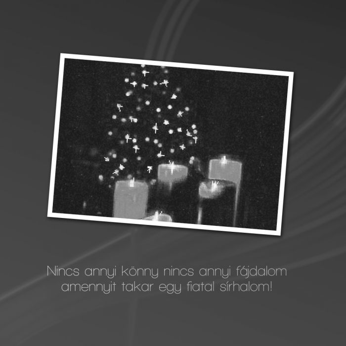 pixiz-13-12-2023-08-53-07