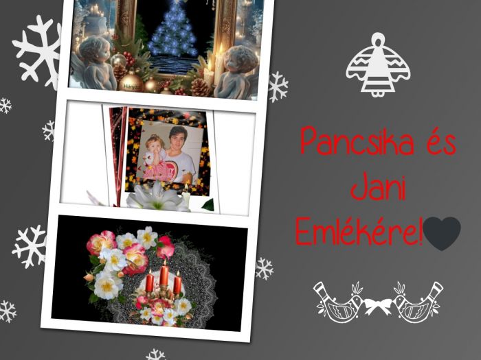 pixiz-13-12-2025-11-36-44