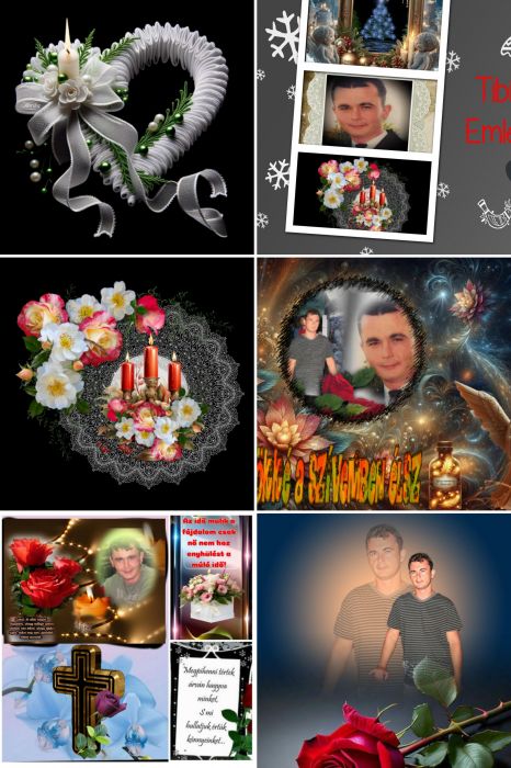 20251215_091955-COLLAGE