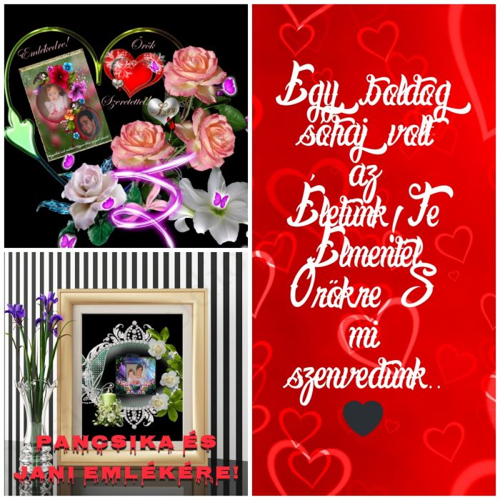 pixiz-08-12-2025-16-50-44