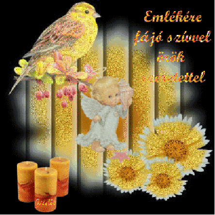 1549e92d2153409c0a324ee0c0ee5320