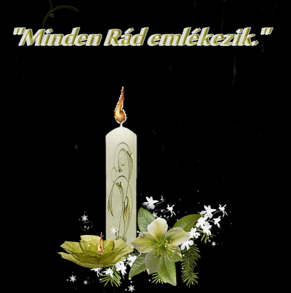 207f26afd6404f93220f4a931d97d001