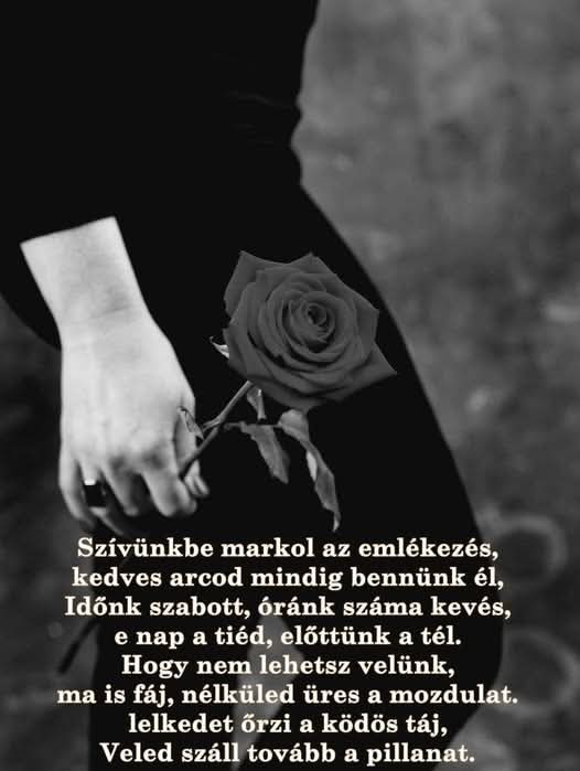 FB_IMG_1765344819524