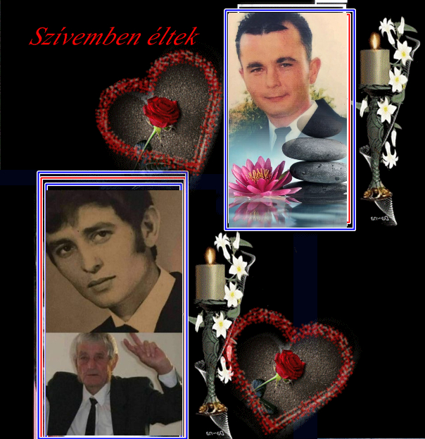 c77c48d15d959ac813301c279f819beb