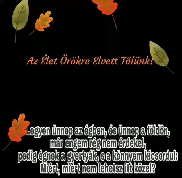 d687e9eb7cfee5e8936c4f246ba560c6