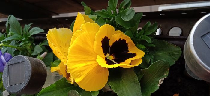 IMG_20220427_064424_1