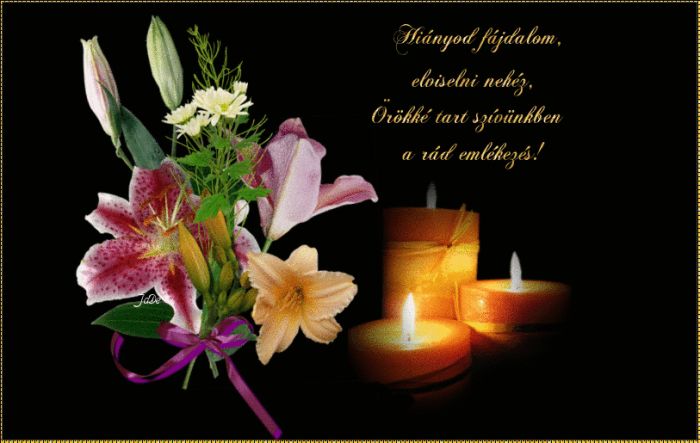 oie_nzulpbgjyay5_masolata