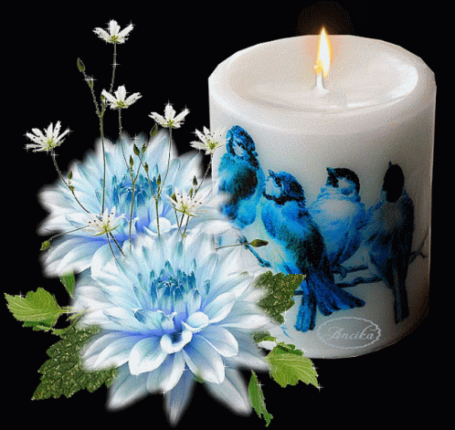 Candles Flowers GIF - Candles Flowers Birds - Discover & Share GIFs