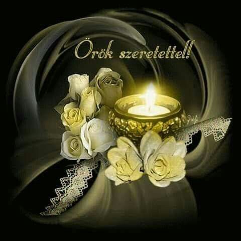 57da7769ef22d63811830f69e94b557e