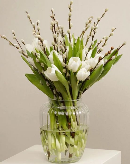 fehér tulipán barkával