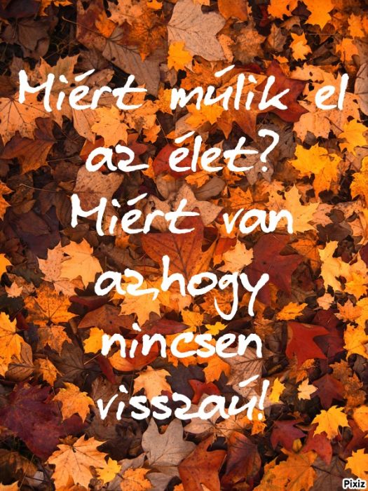 pixiz-05-10-2023-20-03-28