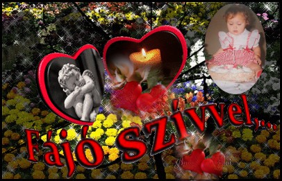 1651fe7e546b0876ca4a8fb060b5ca08