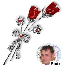 pixiz-20-06-2023-17-21-27