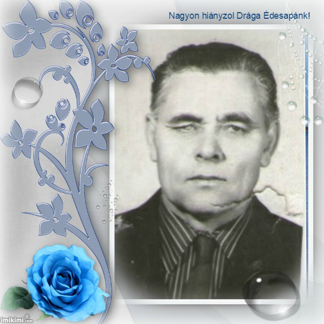 d49d0e3c34faf7e75e22bf01c5567953