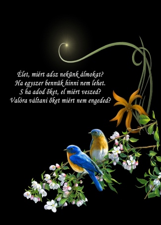 f76eb09c4120d87fa1f03b1766777304