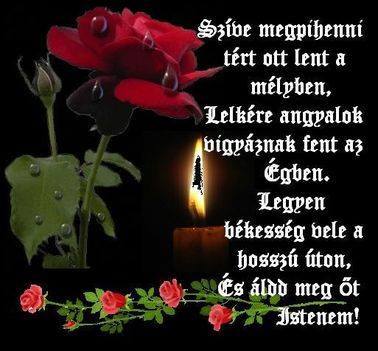 13319793_1725636094373007_6015595471118921059_n