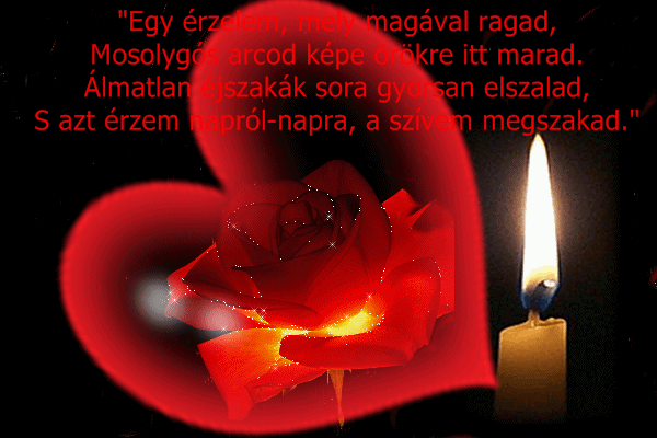 image-pir.rozsa-sziv-gyertya-idezet
