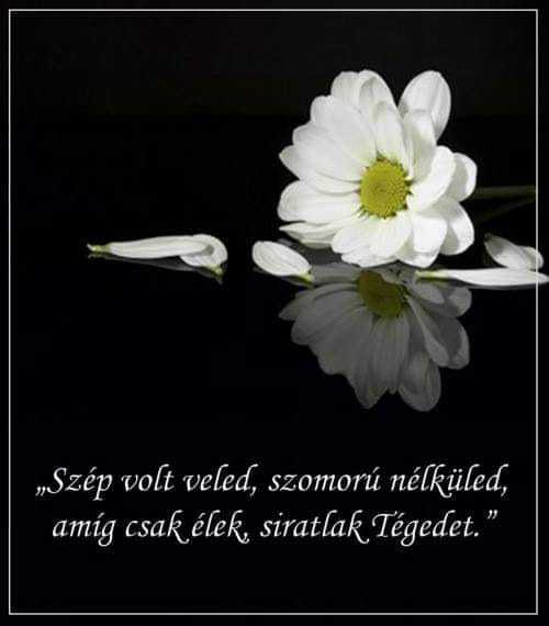 407839399_2581946301969558_6205622700709716411_n