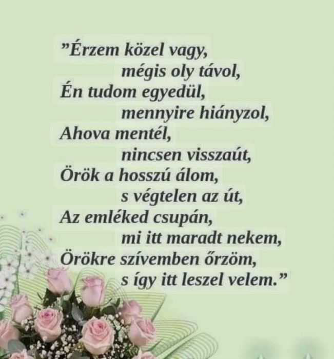 582561265_2086552548834927_6155107519811451504_n