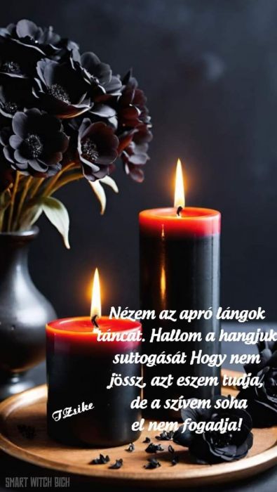 b48ca33812101fe29e57a5f42888bde0_0_700_0