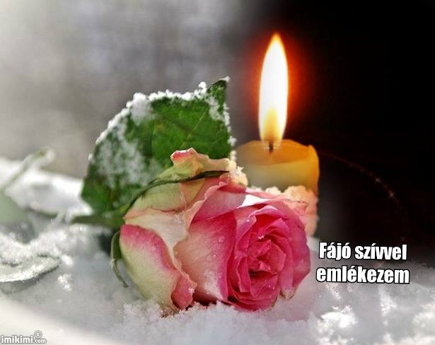 52326905_2269682126416727_2853999729467981824_n