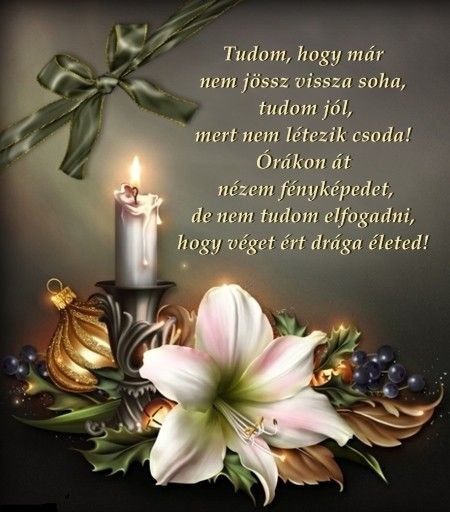 cf38d7c43da50df74a82d3f7e7de489a