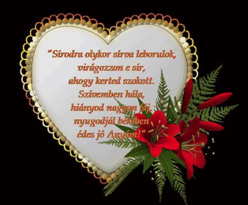 21730947_1385935451522952_6327939160701088987_n