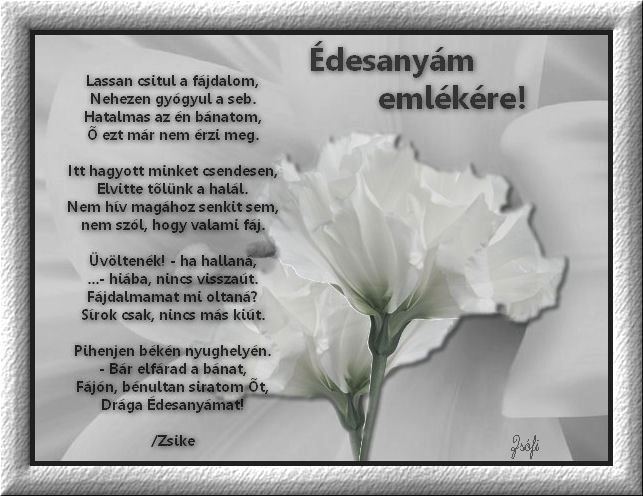 d3b5c97c548fb870bdd1136e249c87f8