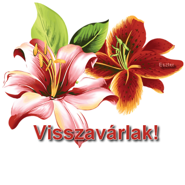 Visszavárlak!,Visszavárlak!,Visszavárlak!,Visszavárlak!,Visszavárlak holnap is!,Visszavárlak holnap is!,Visszavárlak képeim: Macis, mókusos és virágosak ,Visszavárlak képeim: Béka, virágosak és bagoly,Visszavárlak képeim: Mókusos, medvés, majmos ...