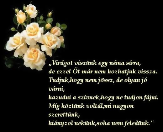 Gyertyal&aacute;ng.hu | Dobos Ferenc - Papi oldala